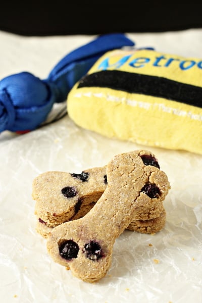 Several Homemade Peanut Butter Blueberry Dog Treats with dog toys in the background.