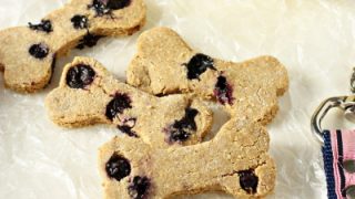 coconut flour blueberry dog treats