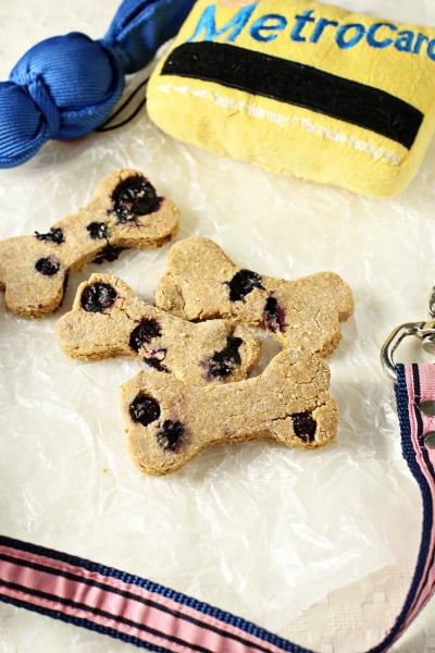 Several Homemade Blueberry Dog Treats with dog toys and a leash nearby.