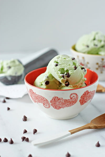 Two bowls filled with Homemade Mint Chocolate Chip Ice Cream.