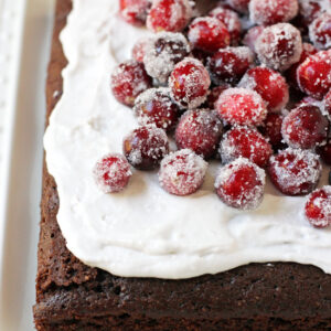 A fudgy chocolate almond olive oil cake topped with coconut milk frosting and spiced sugared cranberries! Dairy free and oh so festive for the holidays!