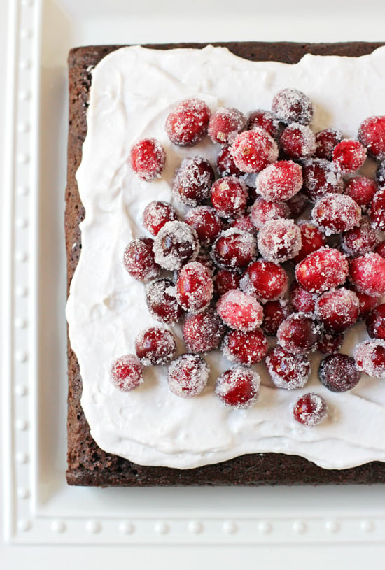 Overhead view of Chocolate Olive Oil Cake on a white platter.